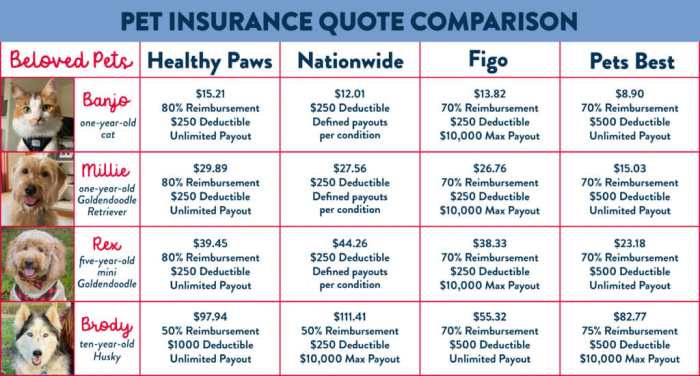 Pet insurance comparison