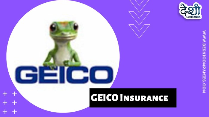 Geico investopedia