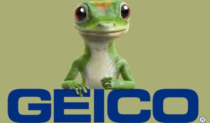 Who is GEICO insurance