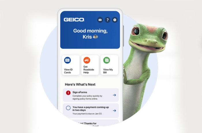 Swot analysis geico