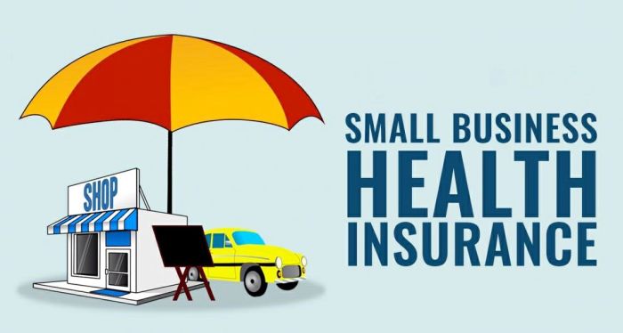 Health insurance for small businesses