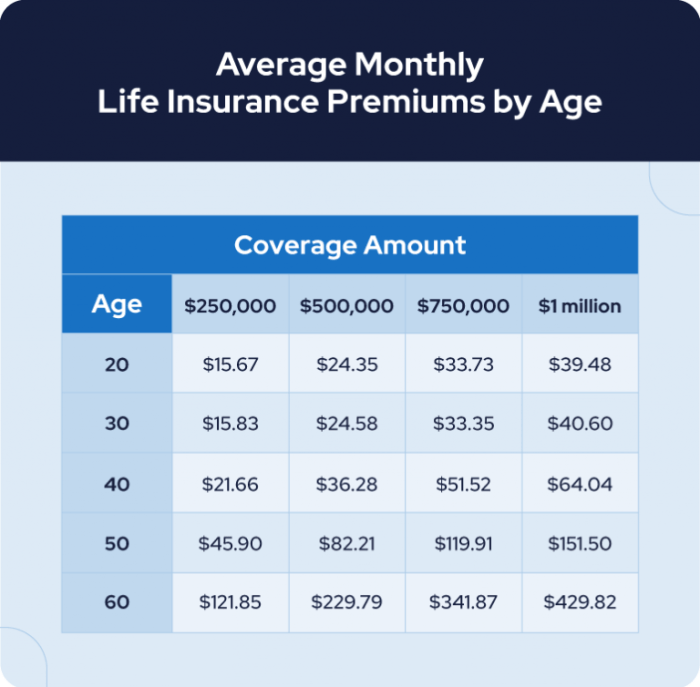 Term life insurance