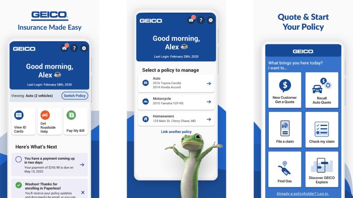 Why should you use the GEICO insurance mobile app