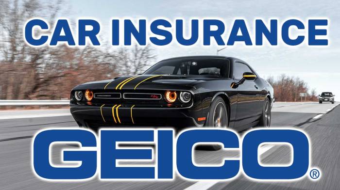 Geico insurance auto discounts minor companies major car other like