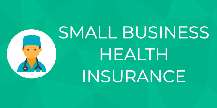 Health insurance for small businesses