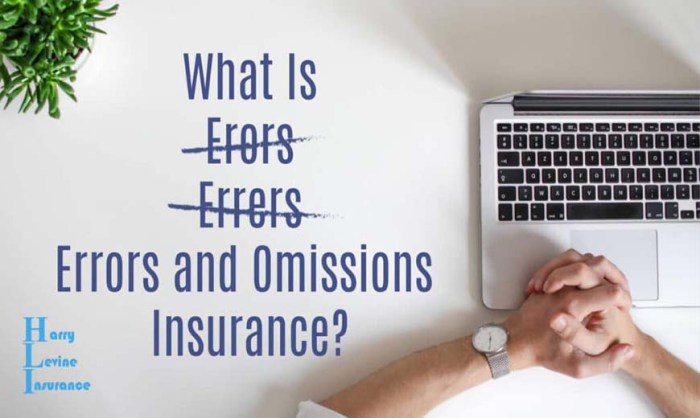 Errors and omissions insurance